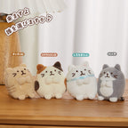 Round Cat Series