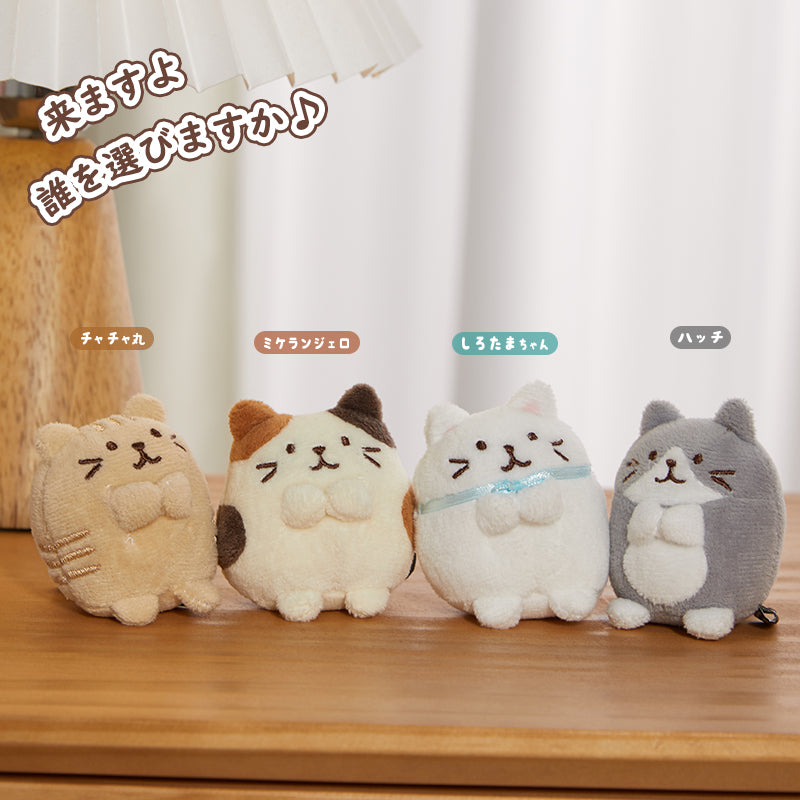 Round Cat Series
