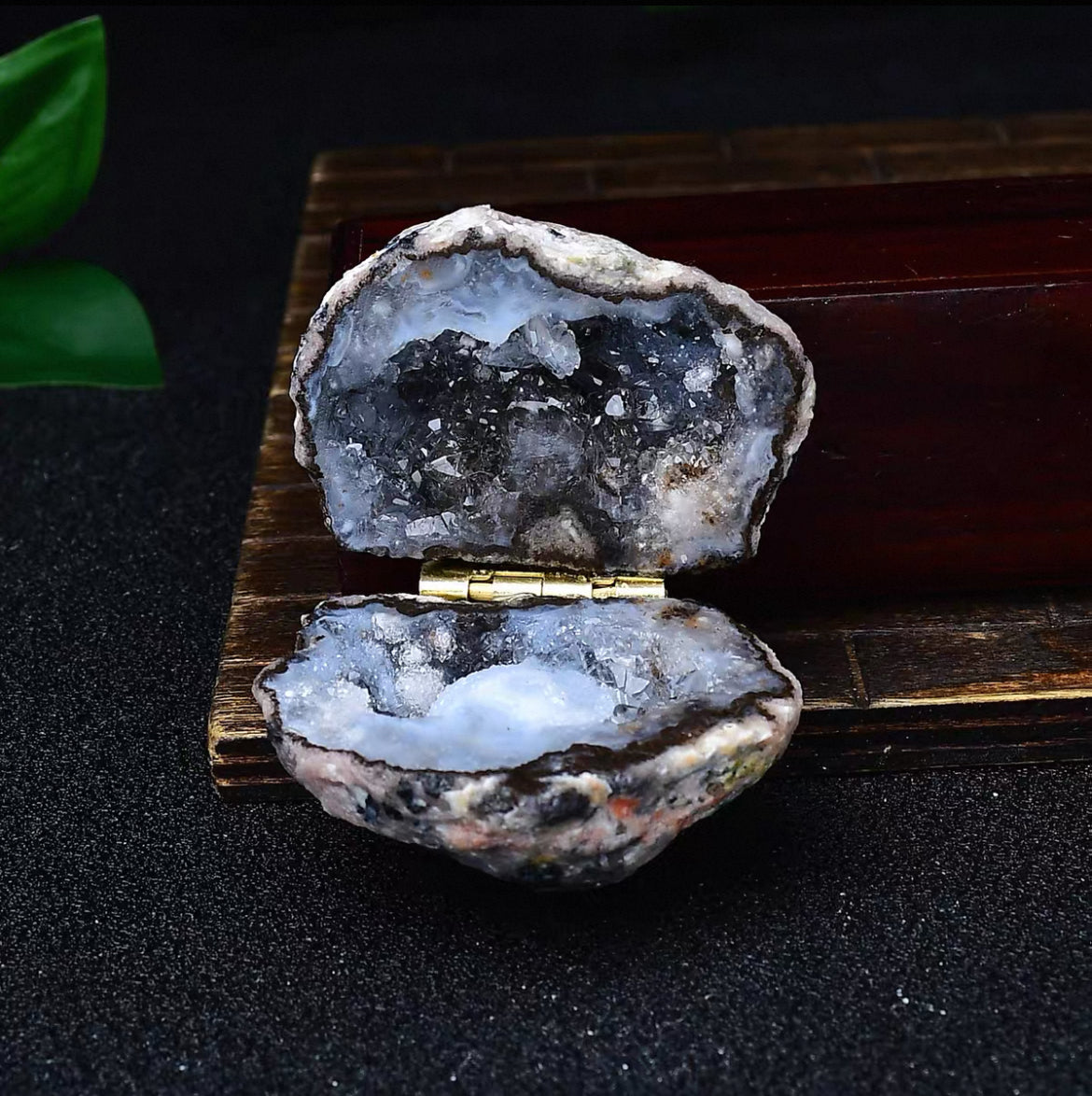 Buy 1 get 1 free: Random (similar to this picture)